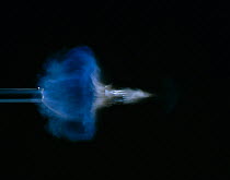 Shotgun discharge sequence 3/5 high speed image