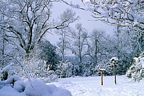 Garden in heavy snow with bird tables. Sussex, England, UK, Winter.