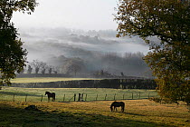 A view to the South Downs over Sussex Weald in early November, UK