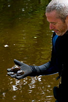 Mussel researcher Ethan Nedeau holding three species of freshwater Mussels (Mytillus genus) from the Ashuelot River. Keene, New Hampshire, USA, September 2006.