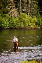 Man fly-fishing in the Androscoggin River at Mollidgewock State Park in Errol, New Hampshire, USA, August 2008.