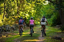 Three people biking at Odiorne State Park, Rye, New Hampshire, USA, September 2008.