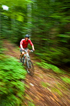Man riding his mountain bike through woodland at Moose Brook State Park in Gorham, New Hampshire, USA, August 2008. Model released.