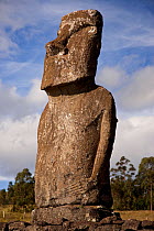 Stone sculpture / Moai at Ahu Ahivi, Easter Island, South Pacific, October 2009