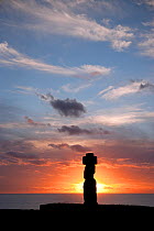 Silhouette of stone sculpture / Moai at Tahai at sunset, Easter Island, South Pacific, October 2009