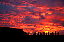 Silhouettes of stone sculptures / Moai at Tahai at sunset, Easter Island, South Pacific, October 2009