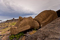 Fallen stone sculpture / Moai, Easter Island, South Pacific, October 2009