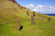 Stone head sculptures / Moai at Rano Raraku, Easter Island, South Pacific, October 2009