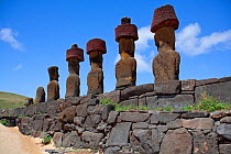 Stone figurative sculptures / Moai of Ahu Nau Nau sacred site at Anankena beach, Easter Island, South Pacific. October 2009