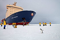 Tourists and Russian icebreaker ship with Adelie penguin in Ross Sea, Antarctica. December 2009