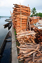 Stacks of illegally collected wood lying on the quayside in Maroantsetra. From the region of Masoala National Park, north east Madagascar. November 2009.