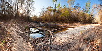 Drying waterhole in deciduous forest, Kirindy. Western Madagascar. October 2009. (digitally stitched image)