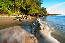 Waves lapping sandy beach with lowland rainforest at the shore. Masoala National Park, Madagascar.