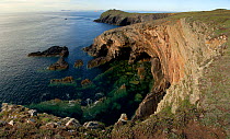 Steeply dipping Silurian rocks in "The Anvil" cove, near Wooltack Point, Pembrokeshire, West Wales, UK