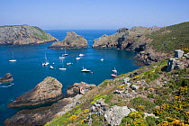 Boats moored in the natural harbour of Harve Gosselin, Sark, Channel Isles, UK, Summer 2009