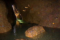 Inside the Gouliot Caves, Sark, Channel Isles, UK, 2009
