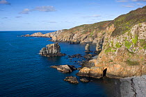 Coastal landscape, West coast of Sark, Channel Isles, UK, 2009
