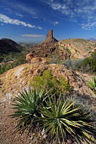 Weavers Needle rock spire and surrounding Boulder canyon with Spiked cactus on rocks in foreground, Superstition Mountains, Sonoran desert, Arizona, USA, March 2008