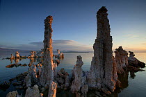 Morning light on calcium carbonate Tufa towers in mineral rice lake waters, Mono Basin National Forest Scenic Area, INYO National Forest, California, USA, June 2008