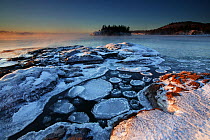 Oval frost covered ice rafts floating in water beside ice covered shoreline, Lake Superior, Split Rock Lighthouse State Park, Minnesota, December 2008