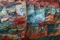 Close-up of petrified rock showing the intricate colours and patterns in exposed inner rock of a petrified log, Petrified Forest National Park, Arizona, USA, March 2008