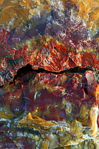 Close-up of petrified rock showing the intricate colours and patterns in exposed inner rock of a petrified log, Petrified Forest National Park, Arizona, USA, March 2008