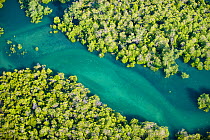 Aerial view of mangroves, Morondava, West Madagascar. November 2008