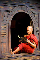 Buddhist monk reading inside teakwood monastery. Bagan, Mandalay State, Myanmar (Burma). September 2009