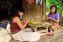 Women making typical myanmar cigarettes, Taungoo, Central Myanmar (Burma). September 2009