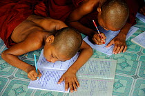 Young buddhist monks studying in a monastery, Taungoo, Central Myanmar (Burma). September 2009