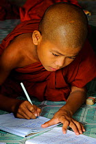 Young buddhist monk studying in a monastery, Taungoo, Central Myanmar (Burma). September 2009