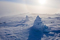 Ice fumeral, McMurdo Sound, Ross Sea, Antarctica, November 2008