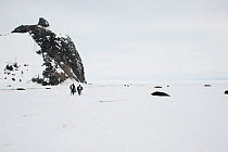 Cameraman Doug Allan and another from the BBC film crew walking across the ice towards an ice hole, McMurdo Sound, Antarctica, November 2008