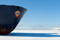 Bow of the Russian ice breaker ship, Kapitan Khlebnikov, amongst sea ice on a Quark expedition, Adelie penguins in the background, Ross Sea, Antarctica, November 2008