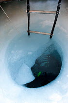 Ladder leading down into drilled ice-hole for BBC filming, McMurdo Sound, Ross Sea, Antarctica, November 2008