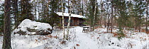 Sigurd Olsen's cabin in birch woodland (Betula papyrifera) in snow, Burntside Lake, Minnesota, USA, March 2008