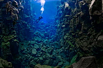 Diver in the tectonic boundary between the Eurasian and the North American plates, Silfra, Thingvellir lake, Thingvellir National Park, Iceland, May 2009.