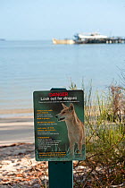 Sign advising visitors to Fraser Island how to handle an encounter with a wild dingo. Kingfisher Bay, Fraser Island, Queensland, Australia Habitat: Sand island. September 2009 Restrictions: Editoria...