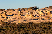 'Walls of China' sand formations, Mungo National Park, Willandra Lakes Region World Heritage Area, New South Wales, Australia November 2006