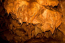 Ngilgi Cave is in a system of limestone caves  richly decorated with the calcium carbonate formations including flowstone. Leeuwin-Naturaliste National Park, Southwest Western Australia
