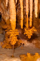 Ngilgi Cave is in a system of limestone caves  richly decorated with the calcium carbonate formations including this stalactite tipped with a cluster of crystals. The clear straw at the base is man-ma...
