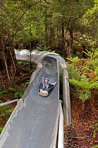 Person on the forest slide, Dismal Swamp Visitor Centre, Tasmania, Australia March 2007