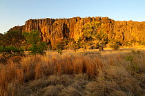 Windjana Gorge National Park is surrounded by the towering walls of a 350-million-year-old Devonian coral reef. The limestone cliffs include small caves and numerous fossils. Western Australia Septem...