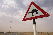 Road sign warning of Camels, Dubai, United Arab Emirates, February 2007