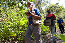 Proyecto Titi team performing Cotton-top tamarin census in Colombia's dry tropical forest. Colombia, South America. February 2008