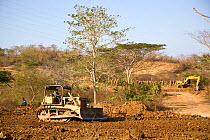 Bulldozer clearing tropical dry forest habitat, Colombia, South America. February 2008