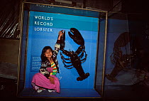 Girl sitting beside image of Northern Clawed Lobster (Homarus americanus) currently over 100 years old and no longer on exhibit. Found in 1934 weighing 42.7 lbs, caught at a depth of 500 feet. Boston...