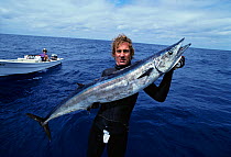Bluewater Hunter holds giant Wahoo fish / Pacific kingfish (Acanthocybium solandri) Mexico, Pacific Ocean. Model released.