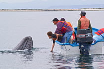 Tourists close to curious Grey whale (Eschrichtius robustus) San Ignacio Lagoon, Baja California, Mexico, February 2005