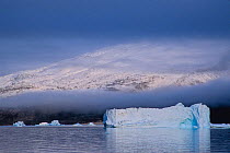 Harefjord, a small fjord within Scoresby Sund, dotted with icebergs and bordered by fog-shrouded mountains covered with snow. Greenland